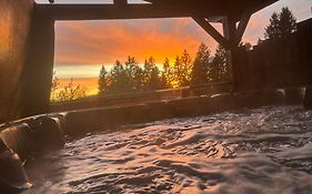 Chalet Avec Jacuzzi Prive, Vue Sur Les Vosges